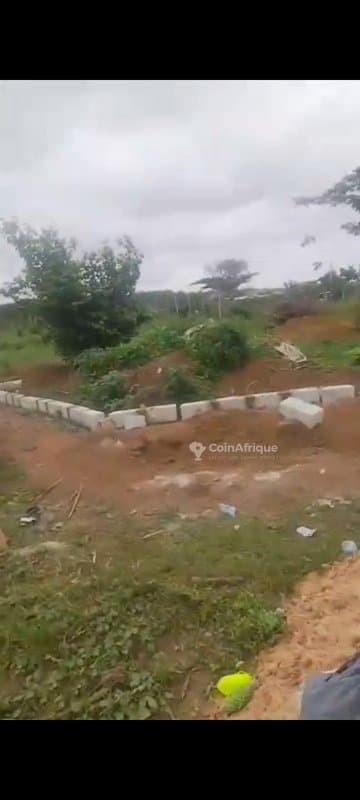Terrain 6 lots - Bingerville