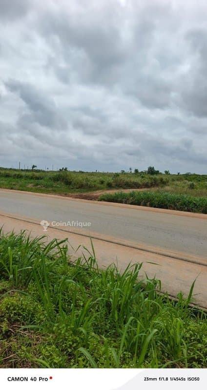 Terrains 400 m2 avec ACD global à Bingerville