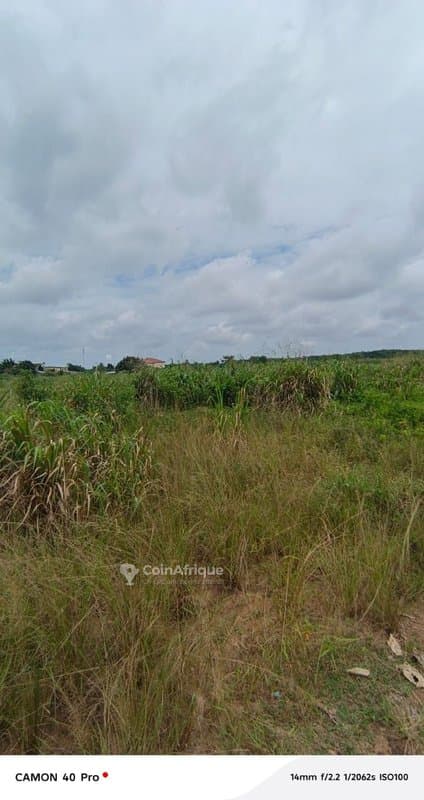 Terrains 400 m2 avec ACD global à Bingerville — photo 2