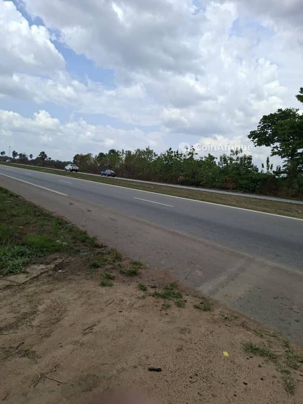 Parcelle 40 hectares avec t.f. en bordure de l'autoroute à Toumodi