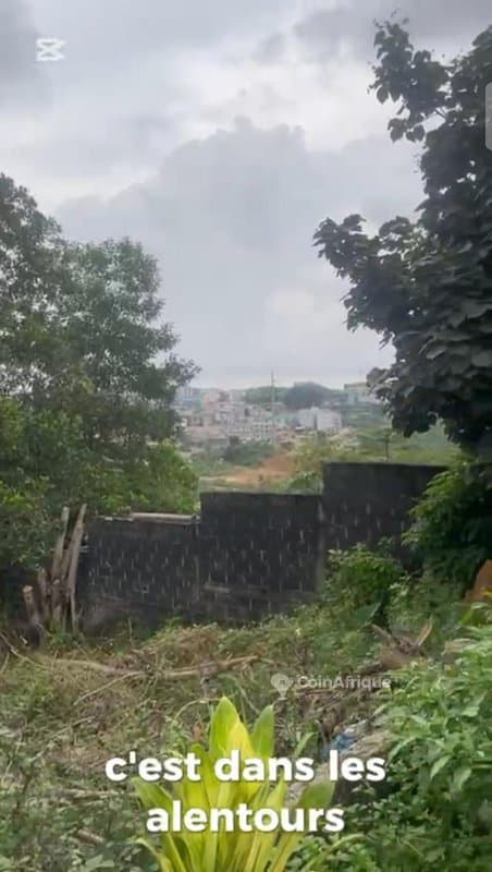 Terrain 800m² Cocody Faya — photo 3