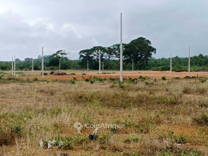 Terrains 400 m2 avec ACD et tf bordure voie yopougon- songon — photo 4