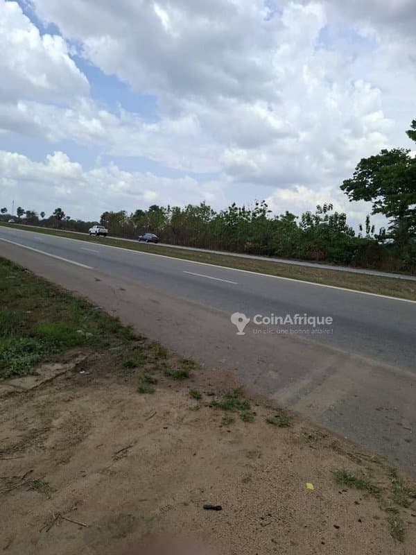 Parcelle 40 hectares + t.f. à toumodi , en bordure de l'autoroute