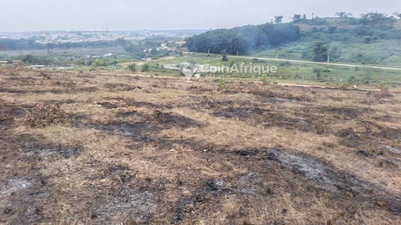 Terrain pour tout projet 5. 5 hectares à Bingerville