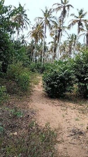 Terrain de 3 hectares à Mohame