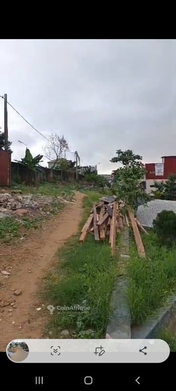 Terrain 1000m2 Cocody - Riviera Faya