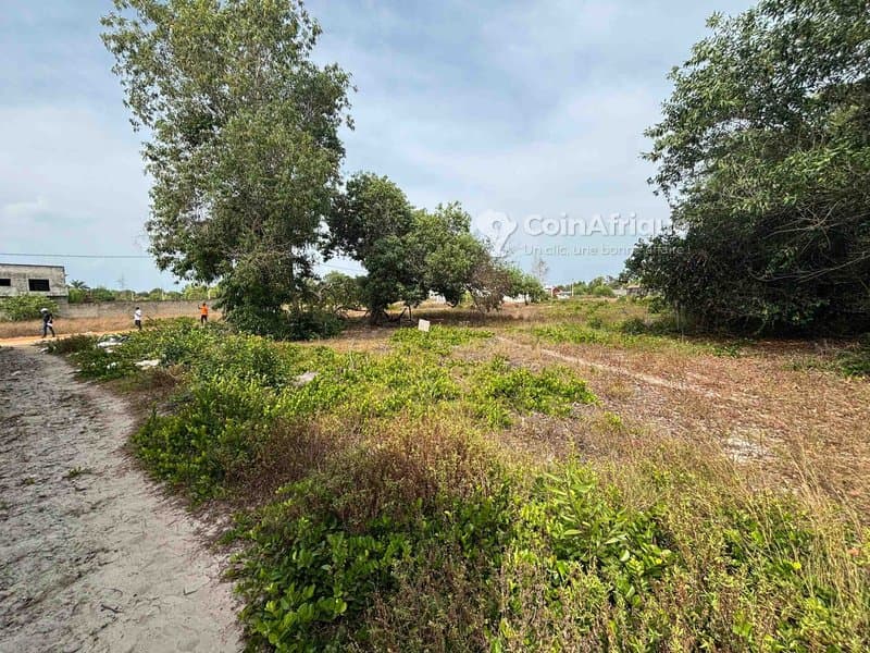 Terrains 573m² - Assinie