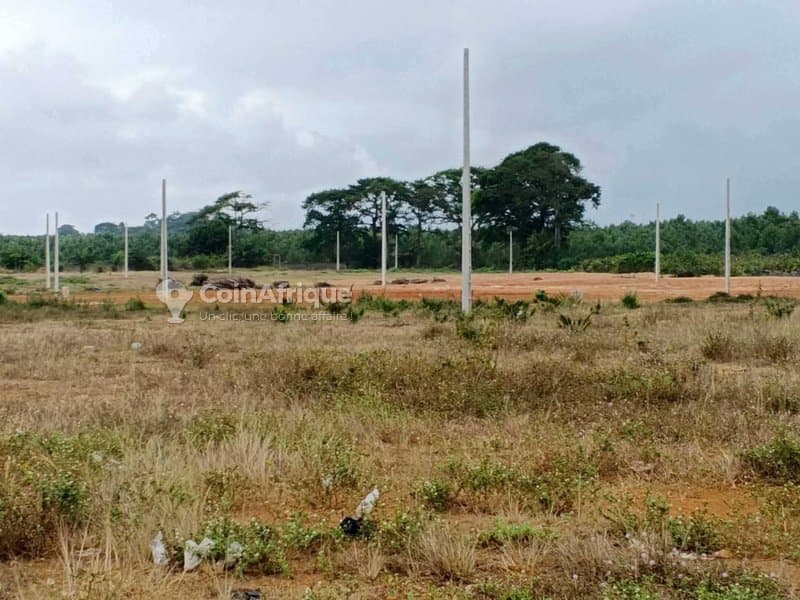 Terrains 400 m2 - Yopougon — photo 5