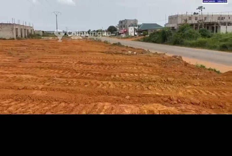 vente terrains 400 m2 avec acd tf - yopougon