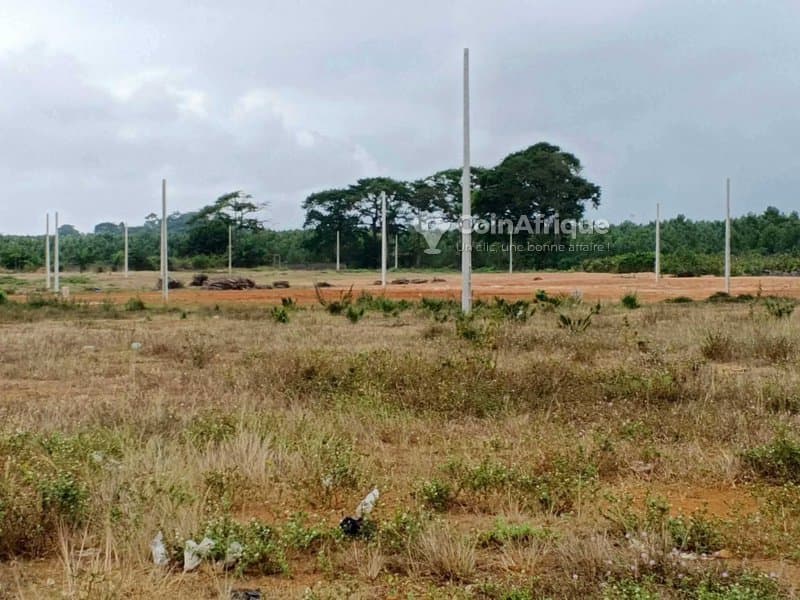 vente terrains 400 m2 avec acd tf - yopougon — photo 5