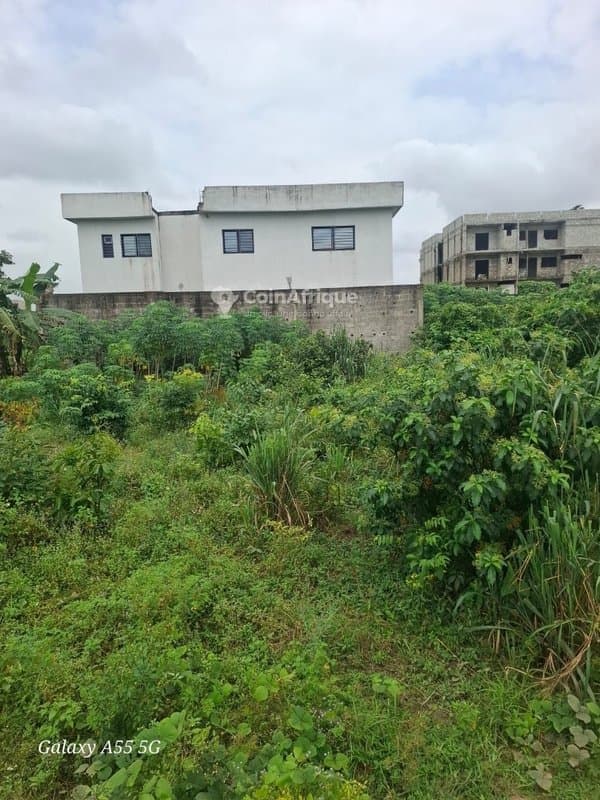 Terrains 425m2 - Bingerville