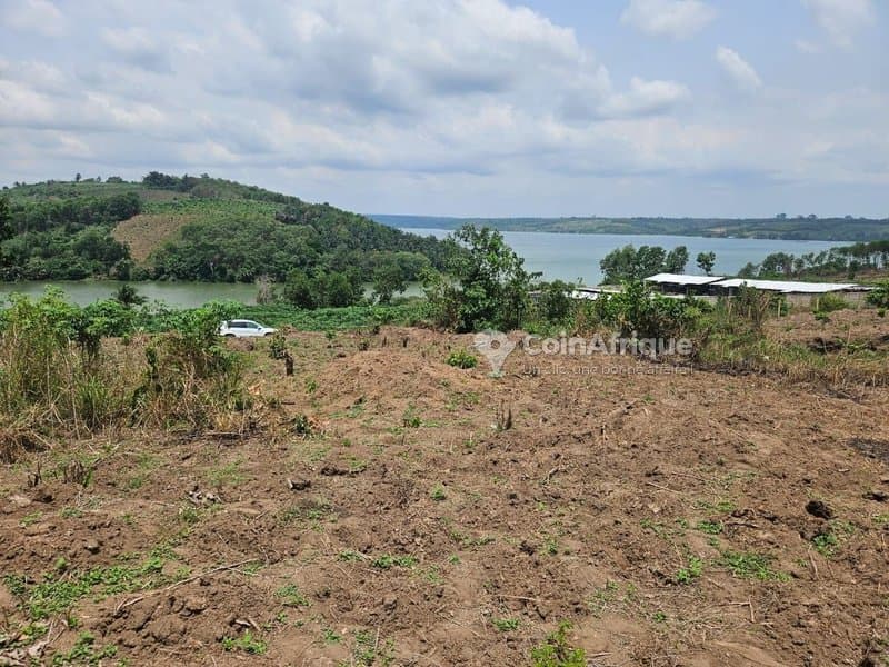 Terrain 500 m2 - Bingerville