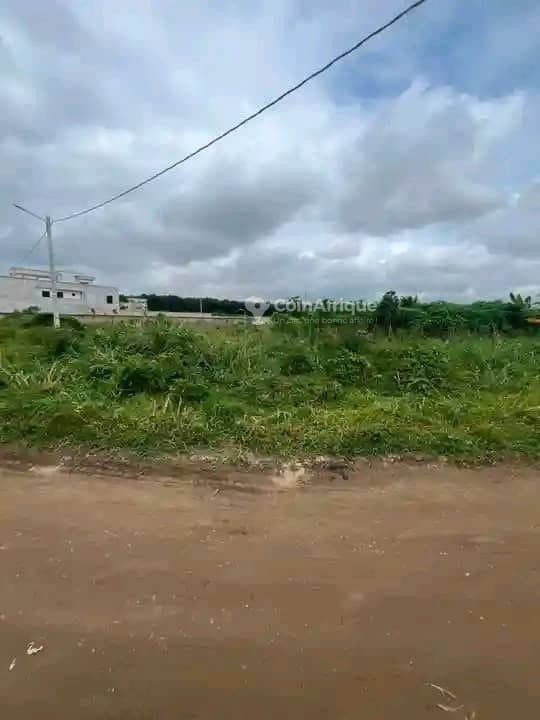 Terrain 375m2 - Bingerville