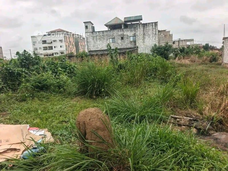 Terrain 600m² - bingerville