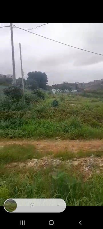 Terrain de 1600m² - Cocody