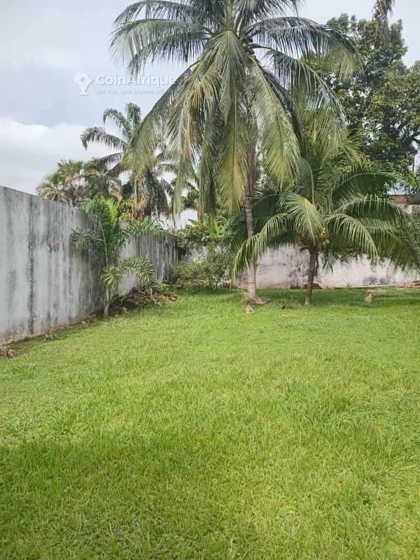 Location villa basse 4 pièces - Cocody — photo 4