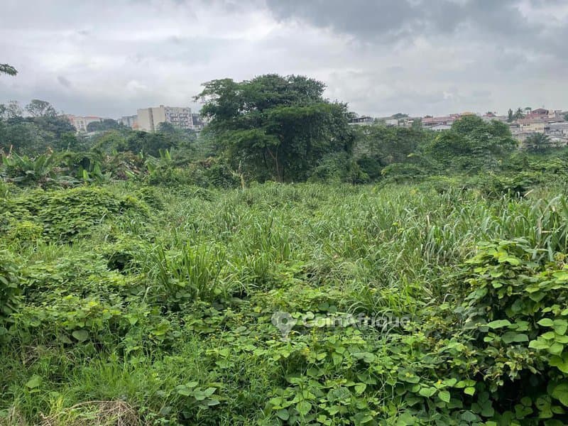 Terrain 1H - Plateau dokoui acces bie bituvite du prix cassé moment — photo 4