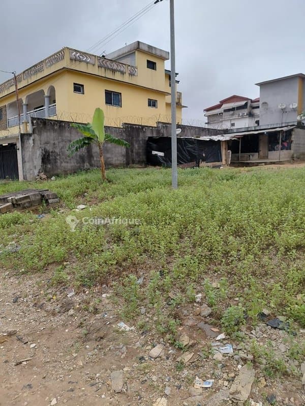 Terrain 600m2 - Abidjan
