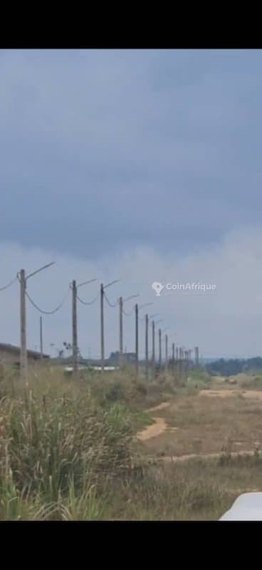 Terrains à bonoua begneri superficie lots 500m2