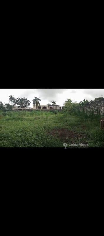 Terrain 3500m2 - Rivièra
