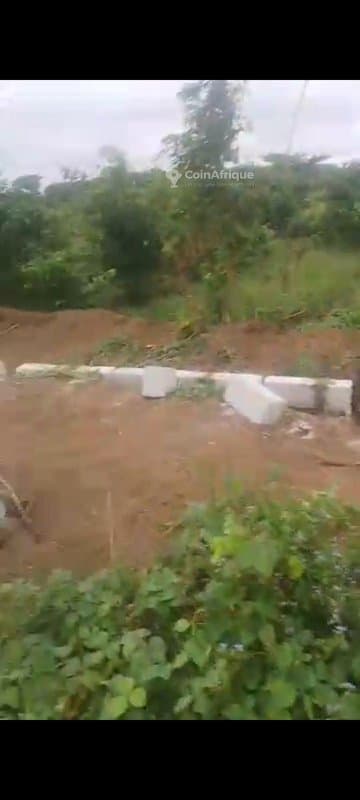 Terrain 6 lots - Bingerville — photo 2
