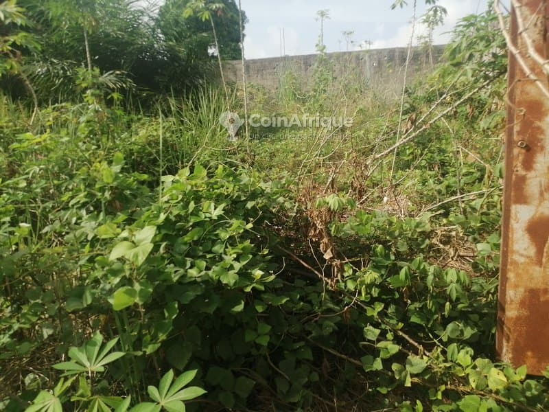 Terrain - Bingerville cité — photo 2