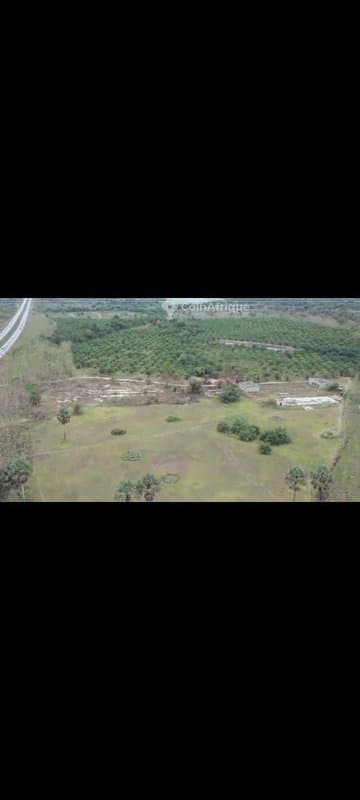 Parcelle 40 hectares avec t.f. en bordure de l'autoroute à Toumodi — photo 3
