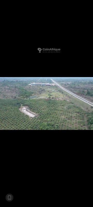 Parcelle 40 hectares avec t.f. en bordure de l'autoroute à Toumodi — photo 4