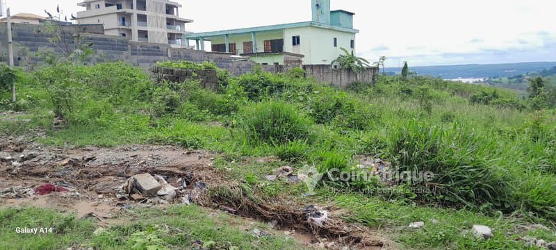 Terrain 660m² avec ACD à Cocody Fekessé derrière ORIBAT — photo 4