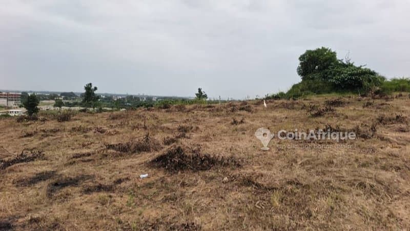 Terrain pour tout projet 5. 5 hectares à Bingerville — photo 2