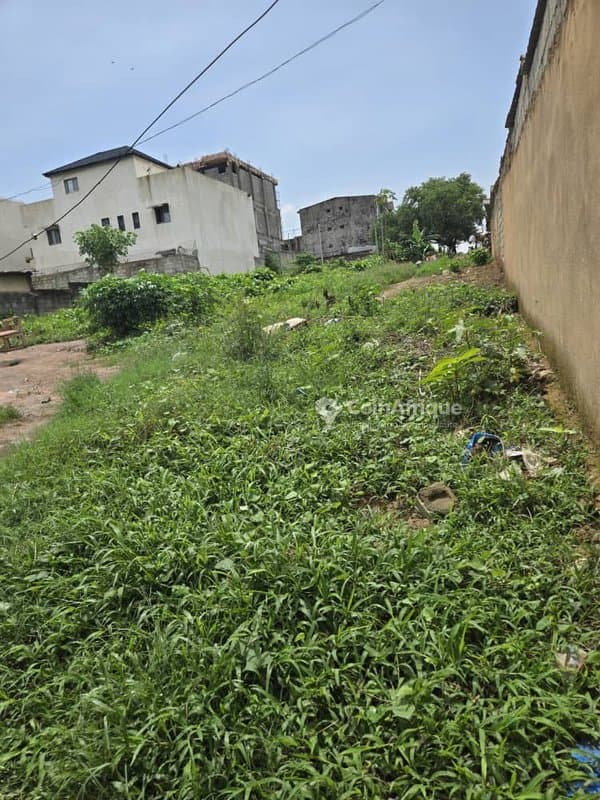 Terrain 686 m² clôturé à Cocody Angre nouveau chu