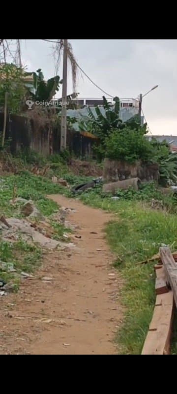 Terrain 1000m2 Cocody - Riviera Faya — photo 3