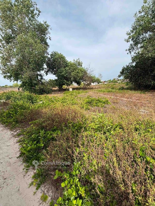 Terrains 573m² - Assinie — photo 3