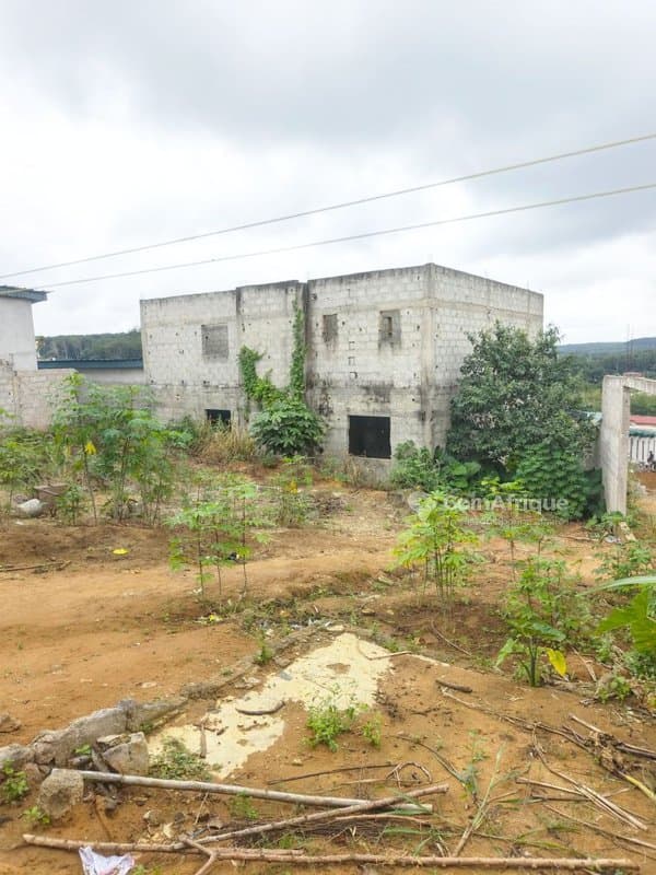 Vente cour à songon ayiwahi1 100 m²