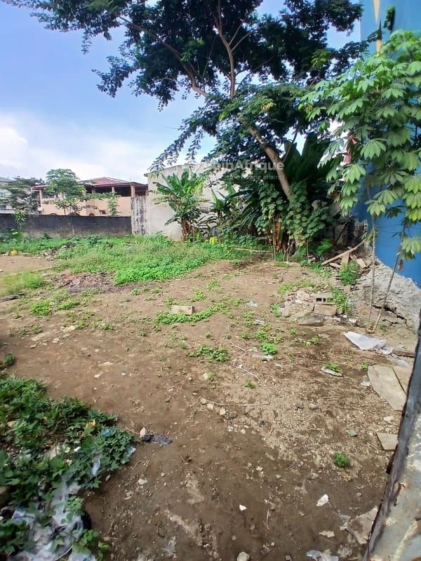 Terrain 600m2 - Angré — photo 2