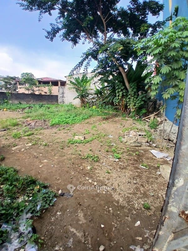 Terrain 600m2 - Angré — photo 3