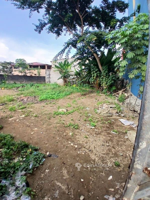 Terrain 600m2 - Angré — photo 4