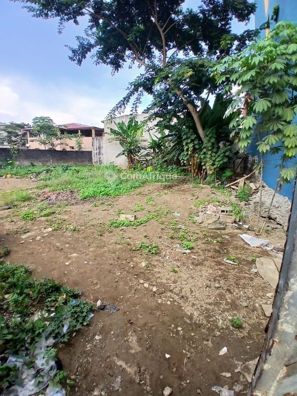 Terrain 600m2 - Angré — photo 5