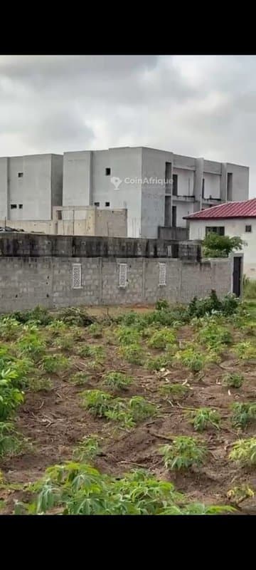 Terrain 1100 m² avec acd à bingerville-anan — photo 3