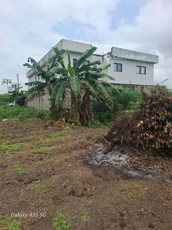 Terrains 425m2 - Bingerville — photo 2