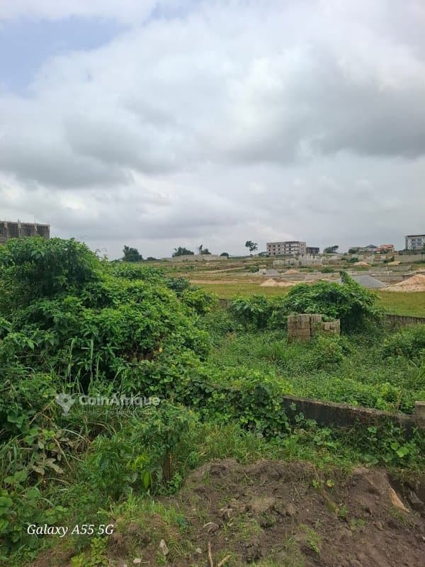 Terrains 425m2 - Bingerville — photo 3