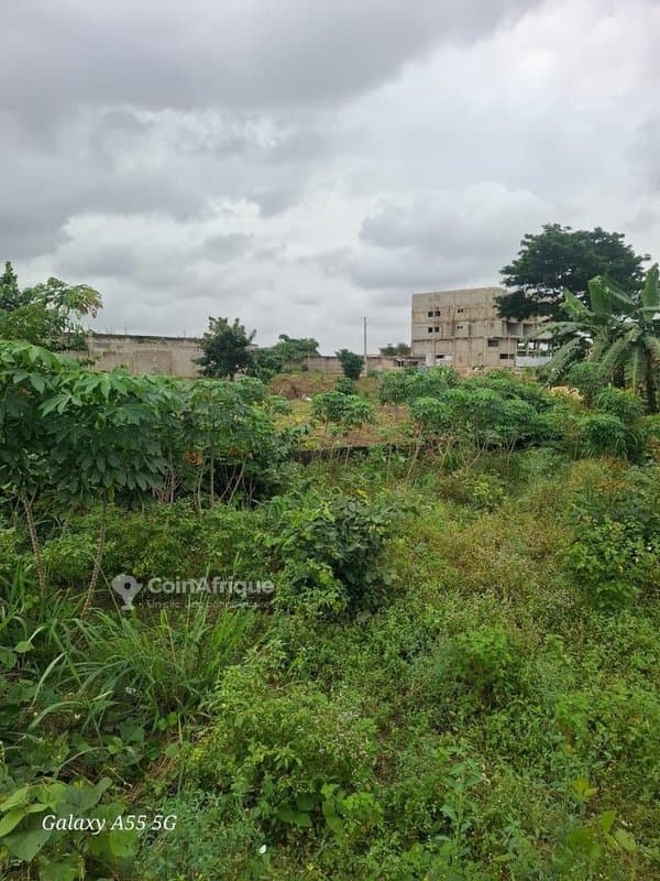 Terrains 425m2 - Bingerville — photo 4