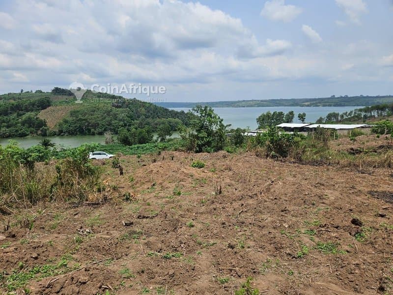 Terrain 500 m2 - Bingerville — photo 2