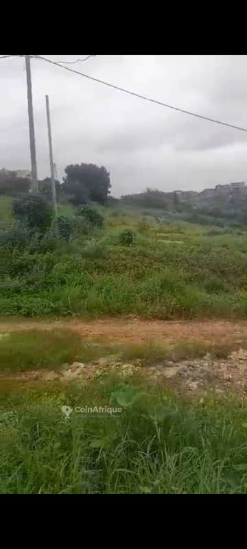 Terrain de 1600m² - Cocody — photo 3