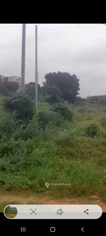 Terrain de 1600m² - Cocody — photo 4