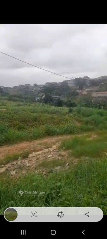 Terrain de 1600m² - Cocody — photo 5