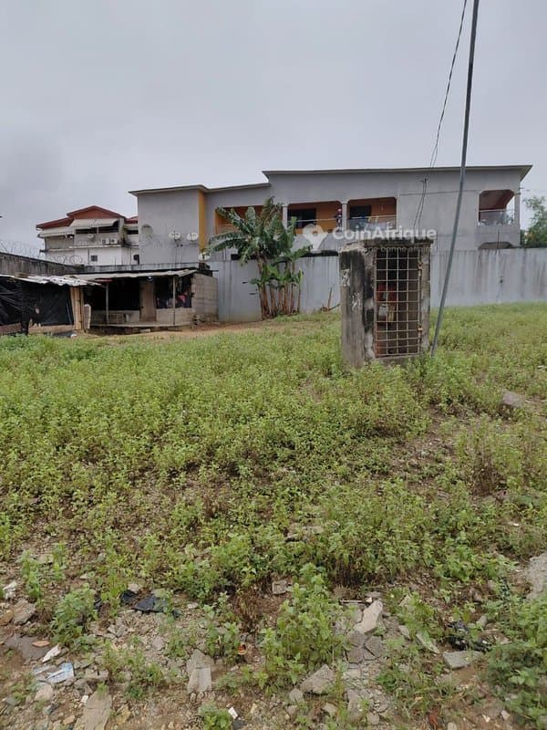Terrain 600m2 - Abidjan — photo 5