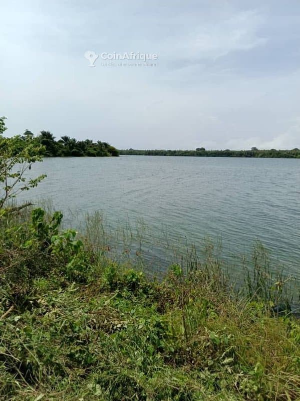 Parcelle 20 hectares à la baie des milliardaires — photo 2