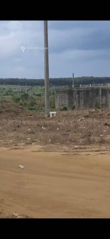 Terrains à bonoua begneri superficie lots 500m2 — photo 2