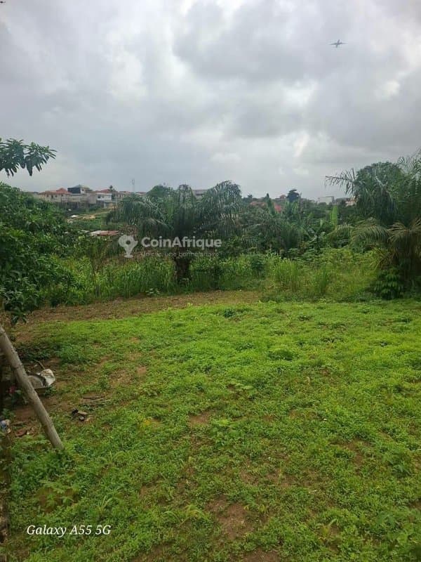 Terrain 400 m² - bingerville — photo 4